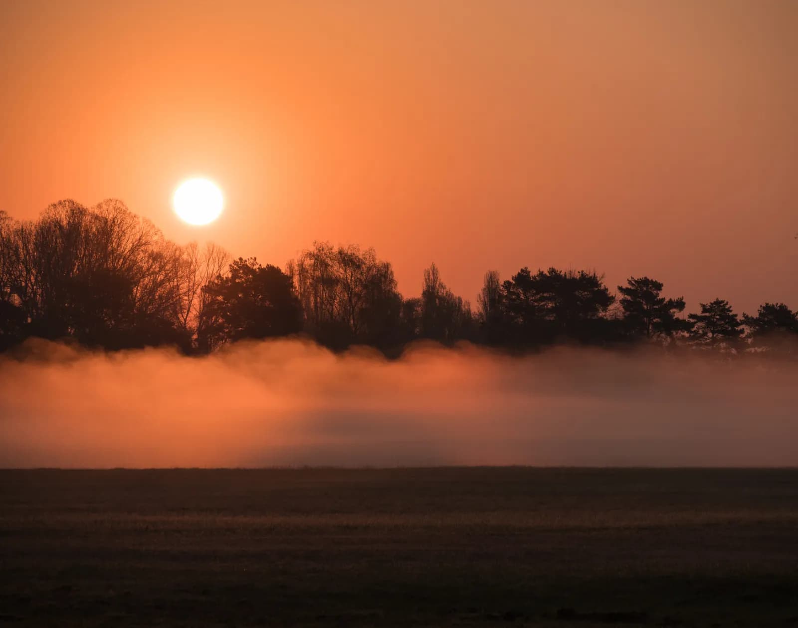 Naturschutzgebiet Wollmatinger Ried 1