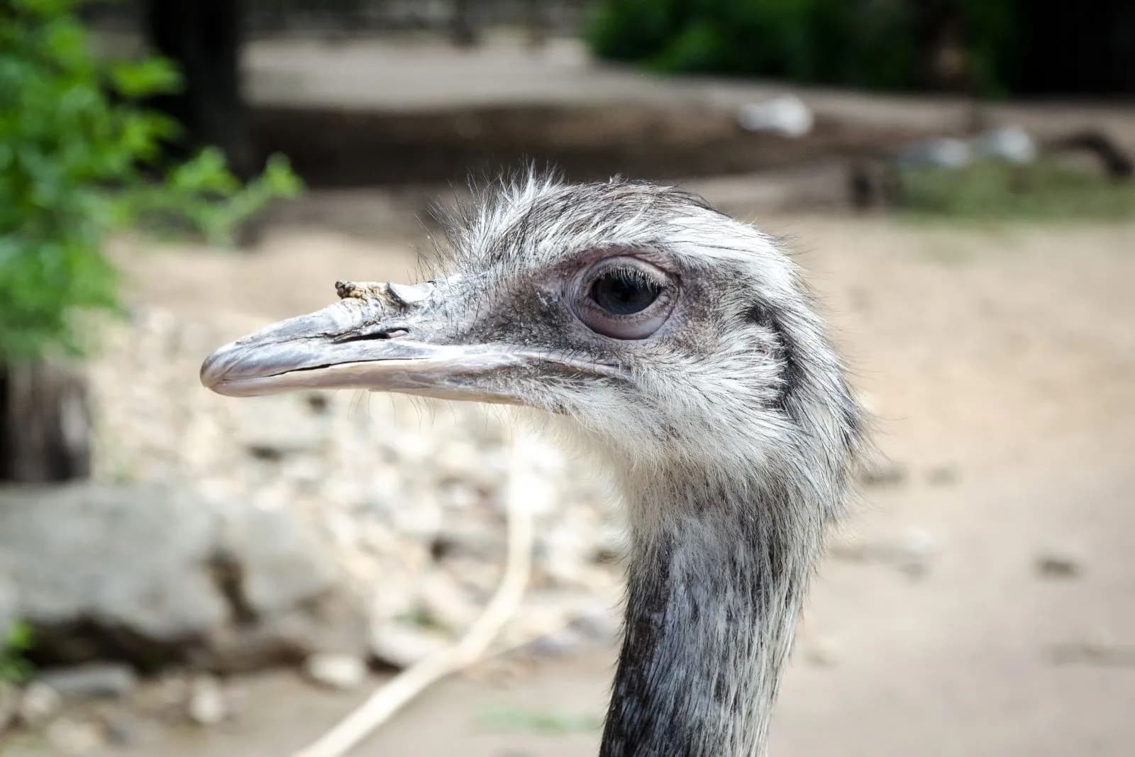 Zoo Krefeld