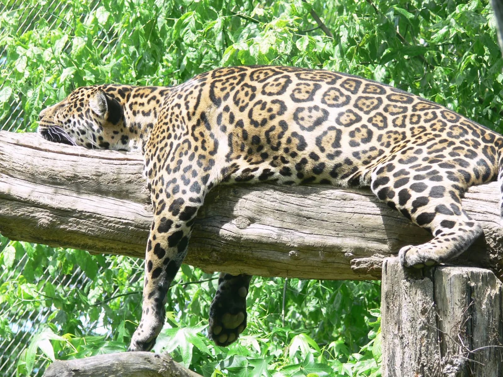 Zoo Krefeld 3