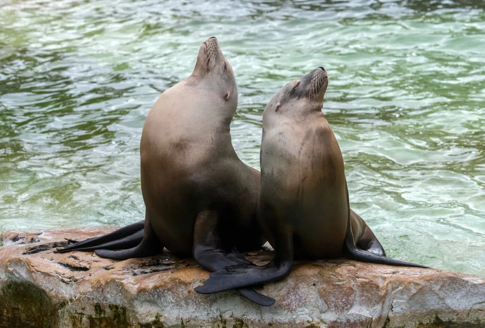 Zoo Berlin 3