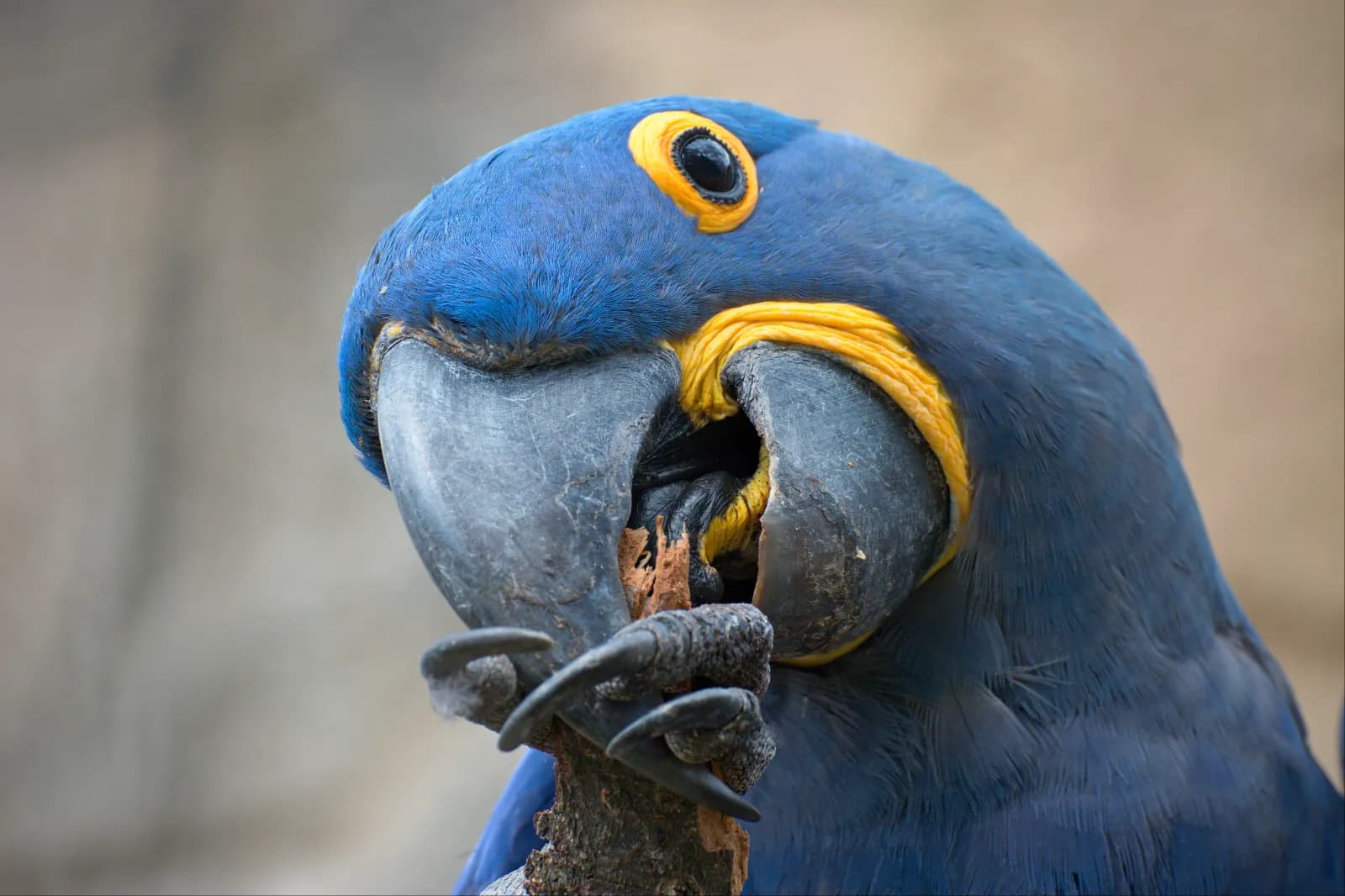 Zoo Berlin 6