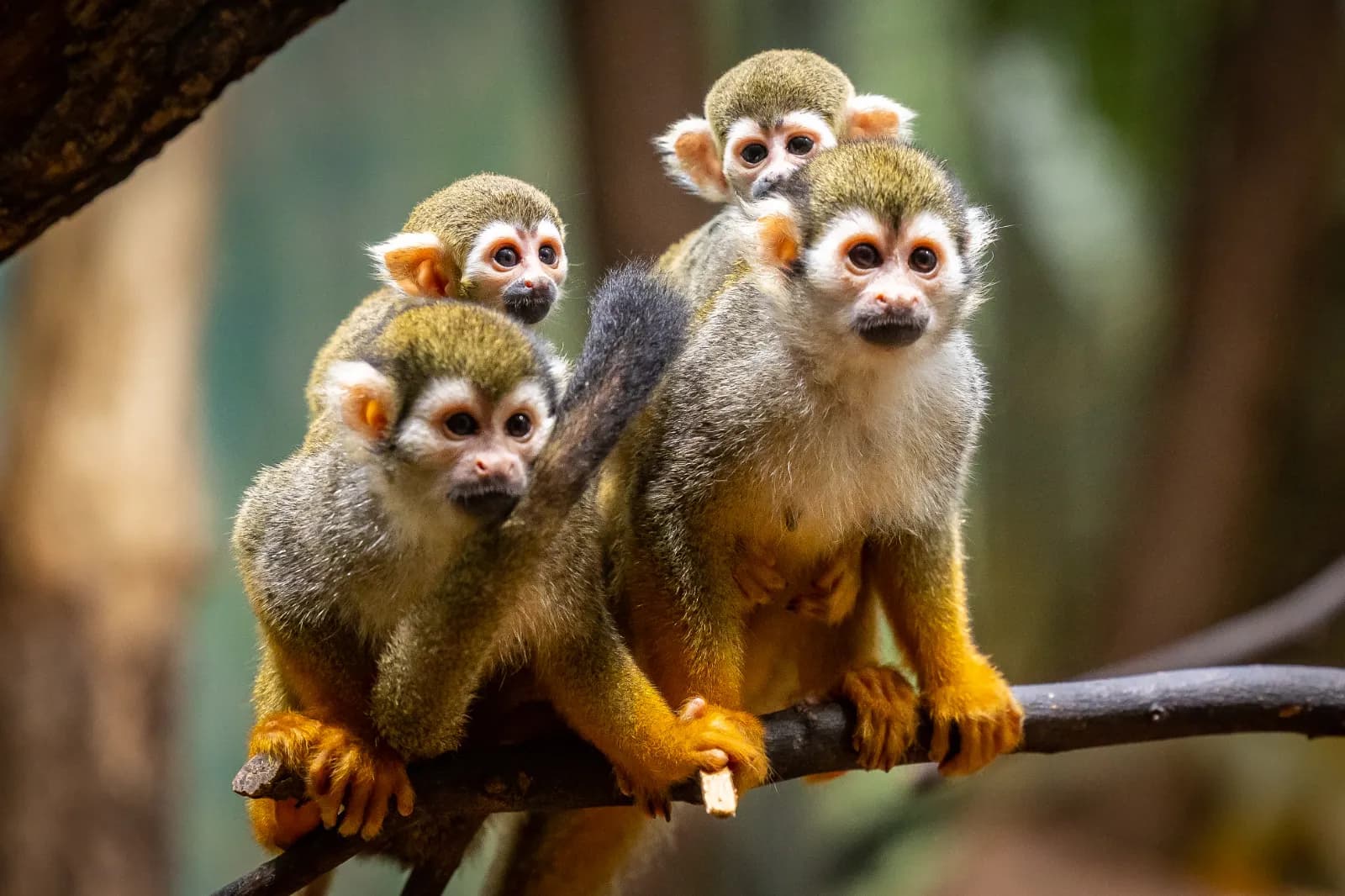 Zoo Berlin 7