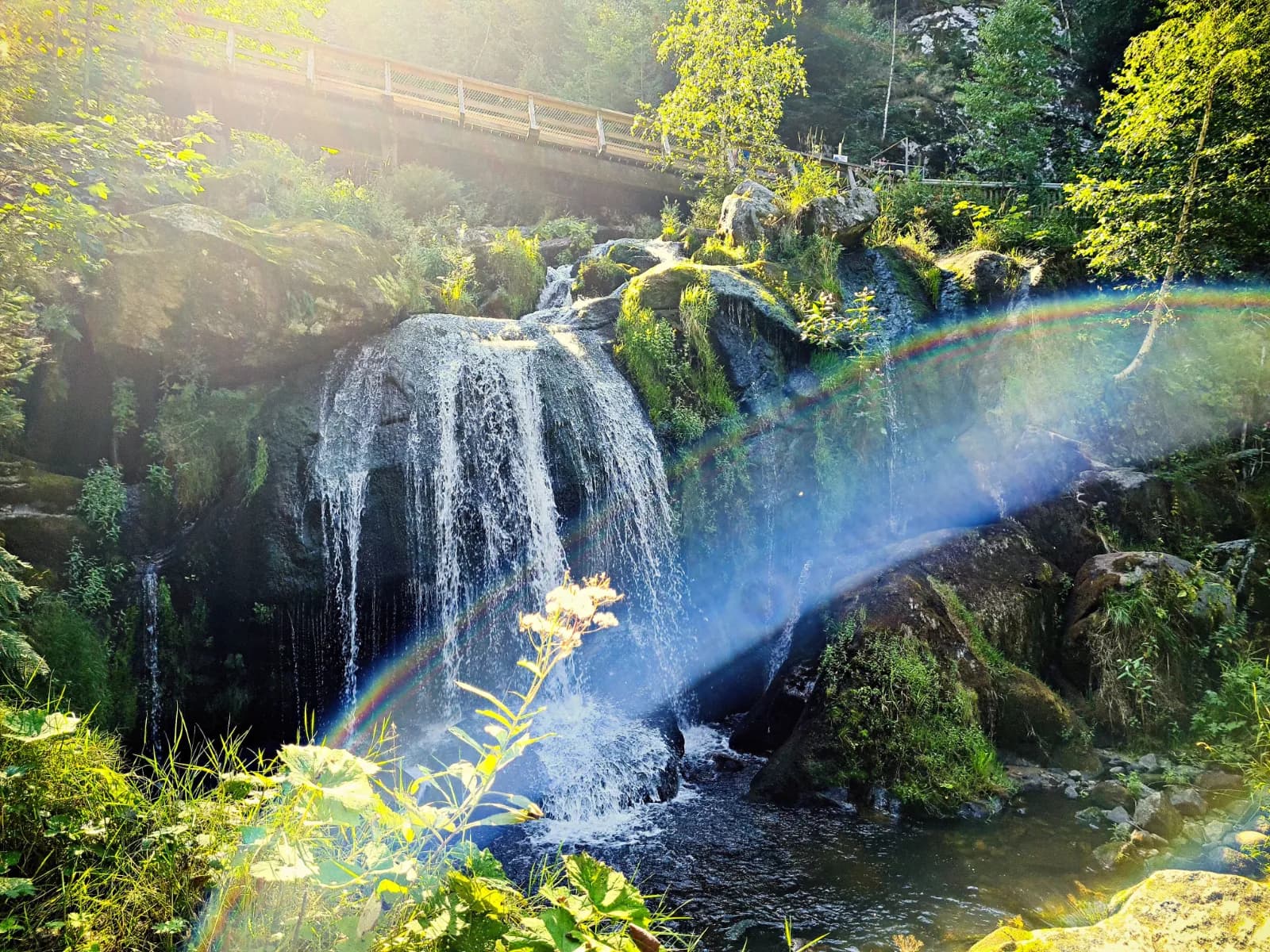 Triberger Wasserfälle 1