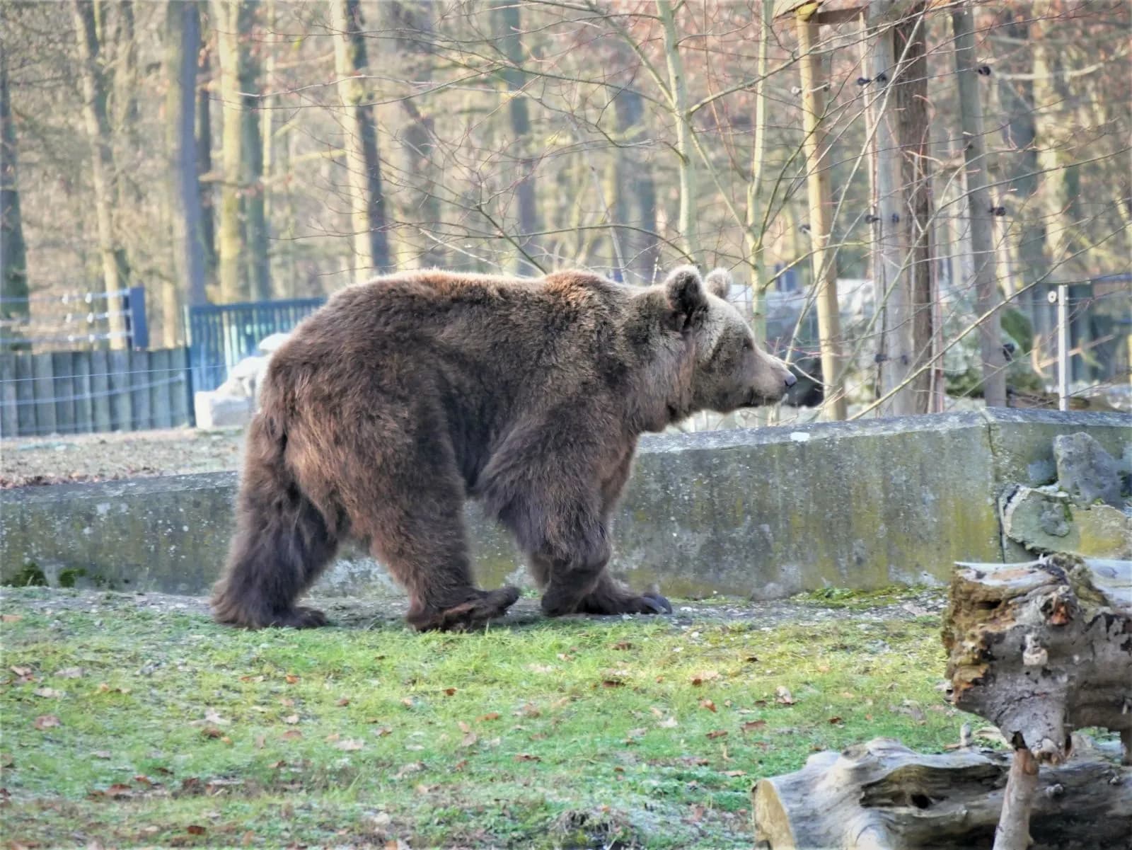 Tiergarten Straubing 3