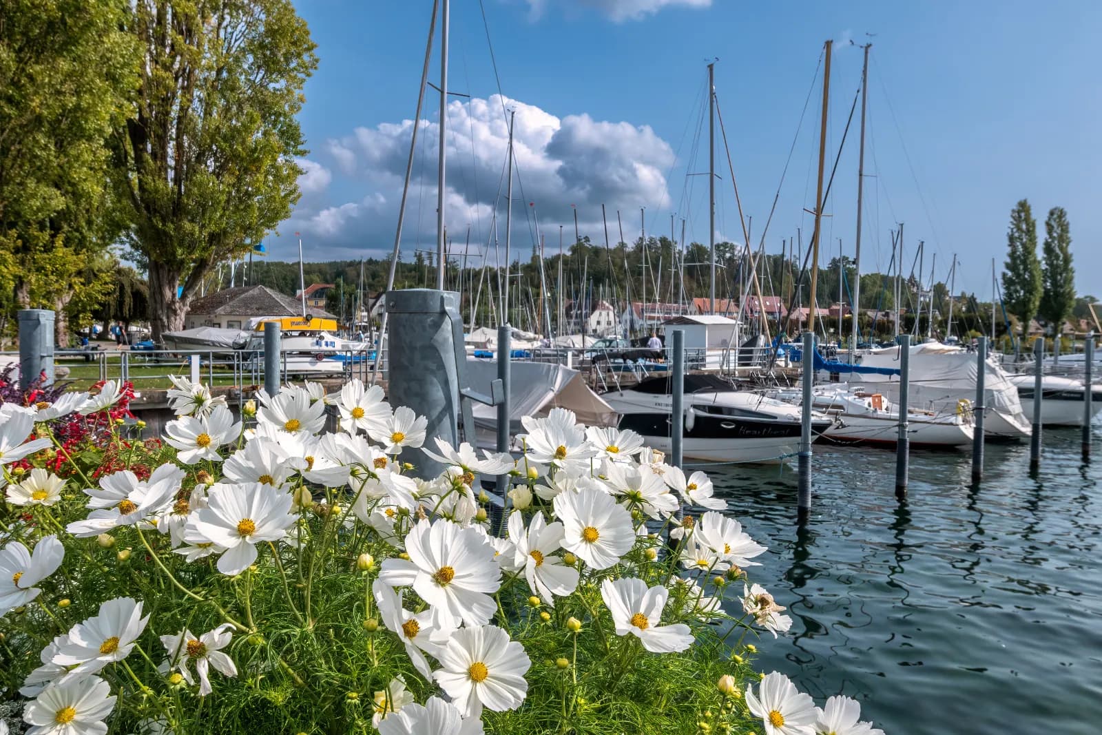 Hafen Unteruhldingen 1