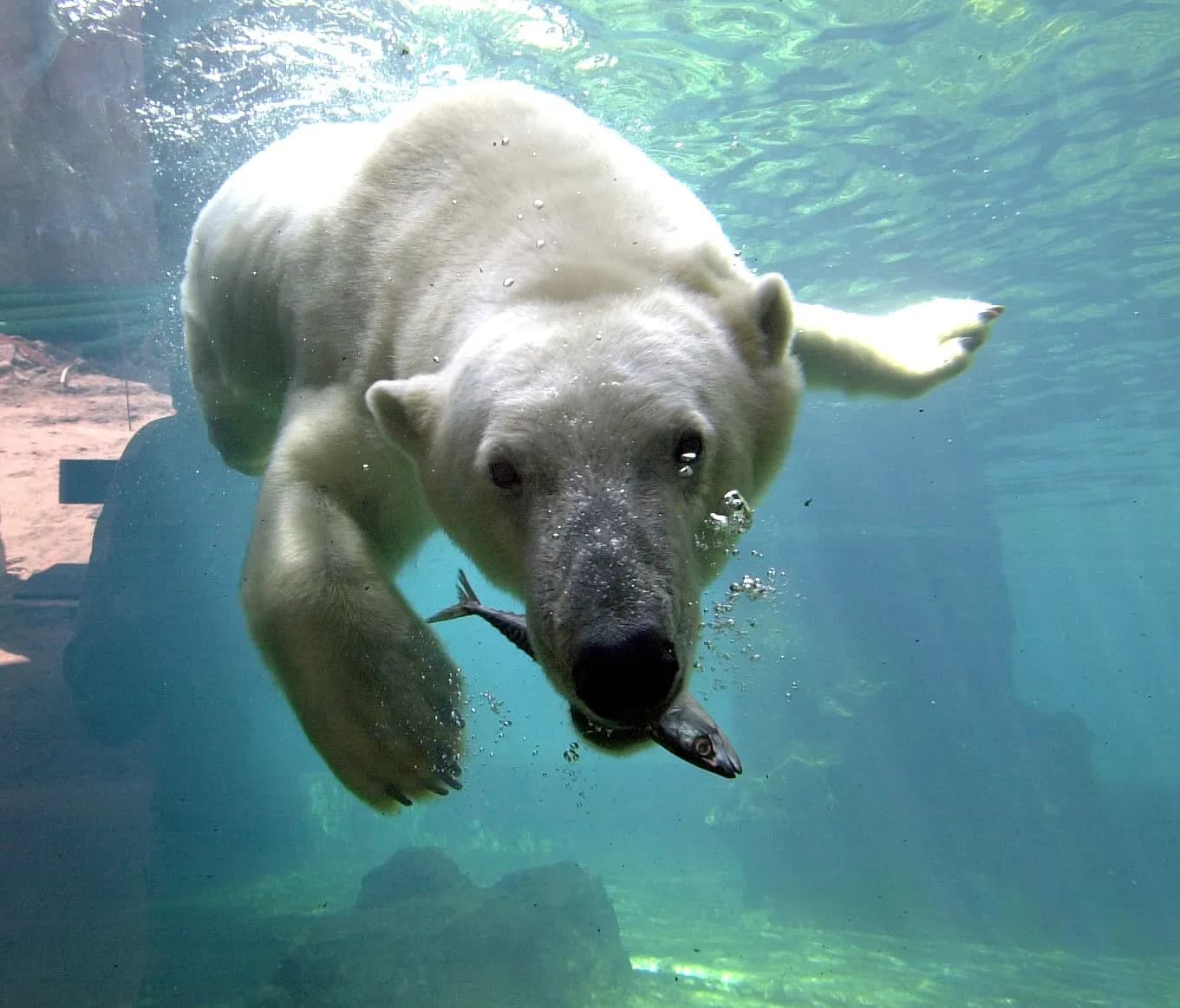 Zoo am Meer Bremerhaven 1