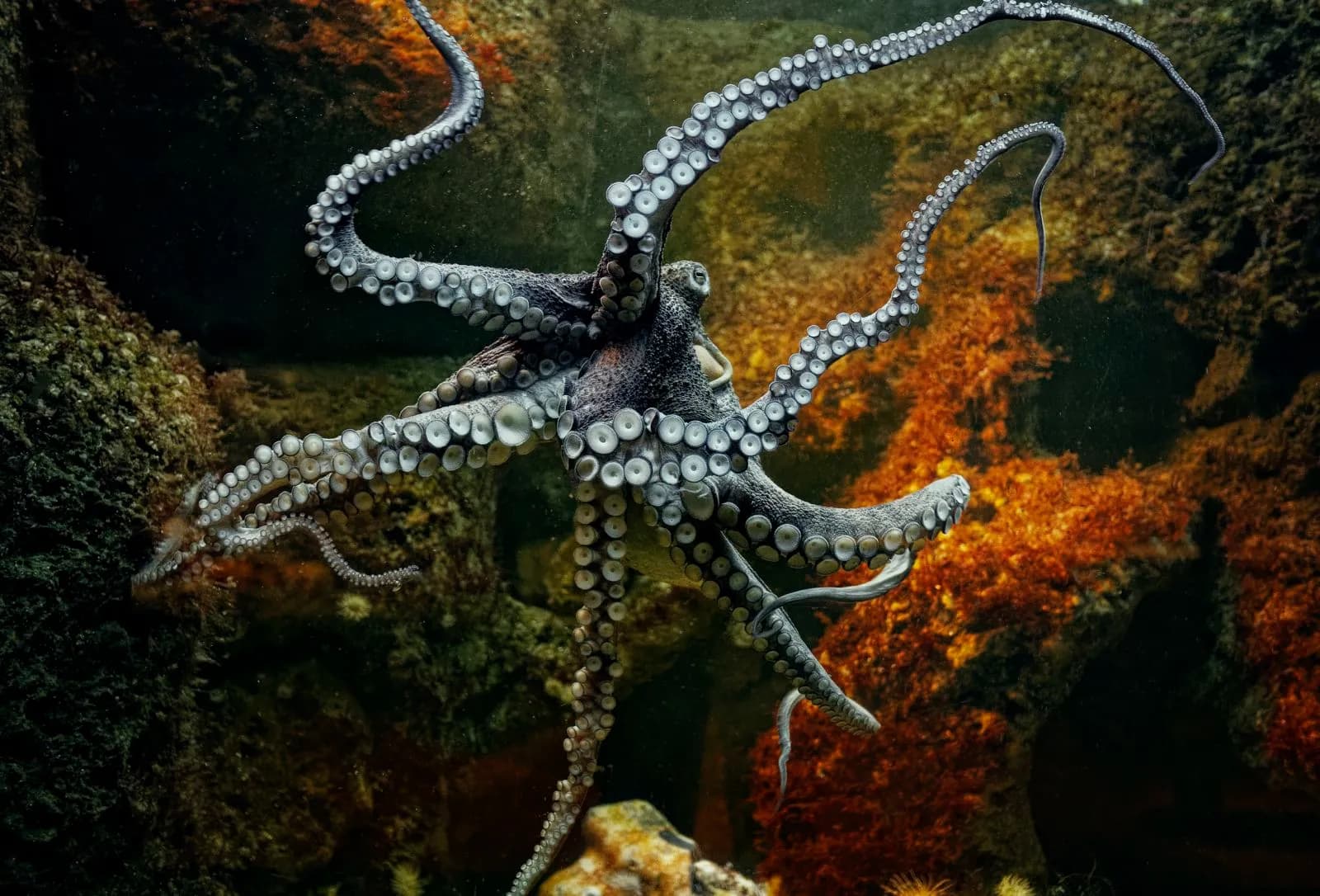 Zoo am Meer Bremerhaven 3