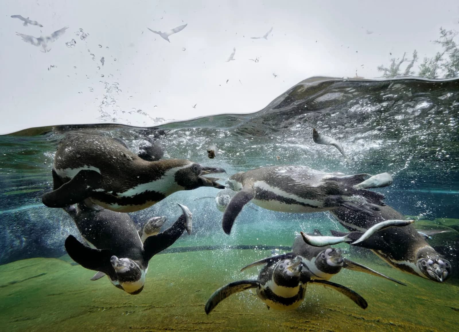 Zoo am Meer Bremerhaven 2