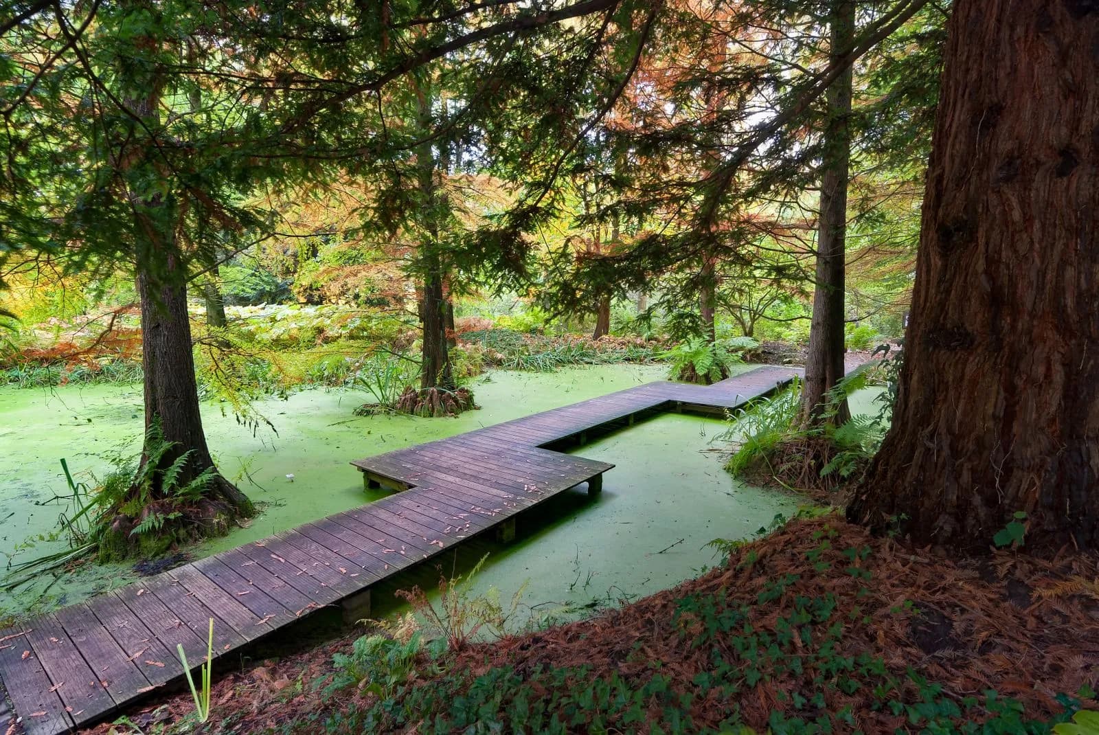 Botanischer Garten 2