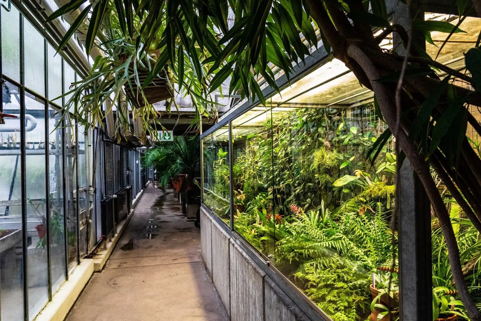 Botanischer Garten 3