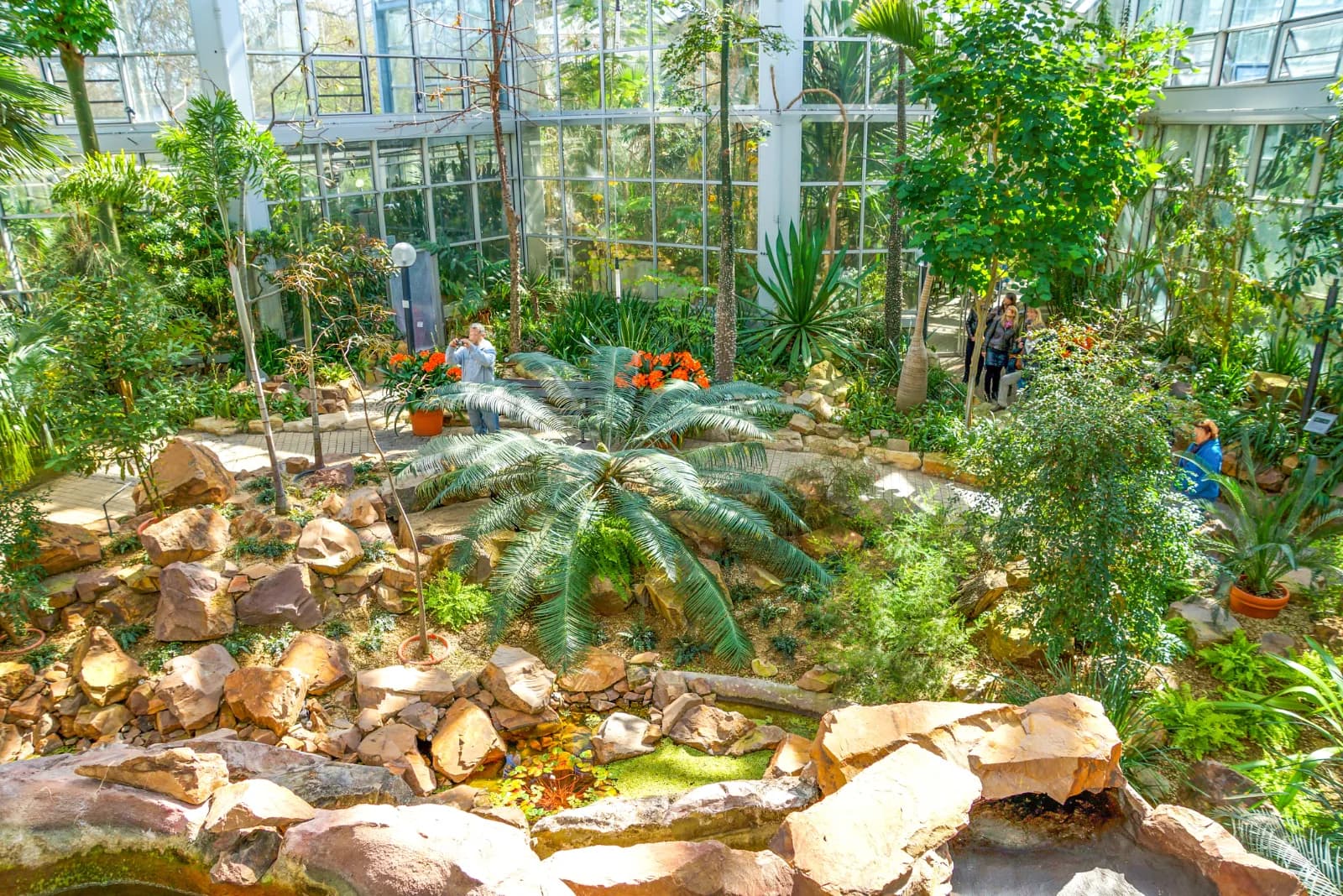 Palmengarten Frankfurt 2