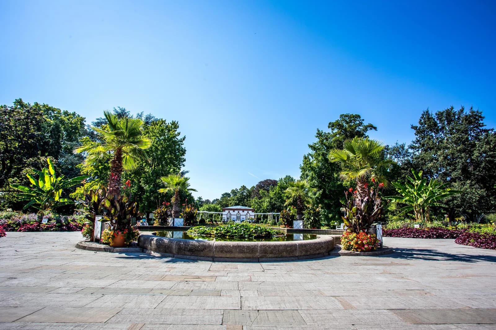 Palmengarten Frankfurt 1