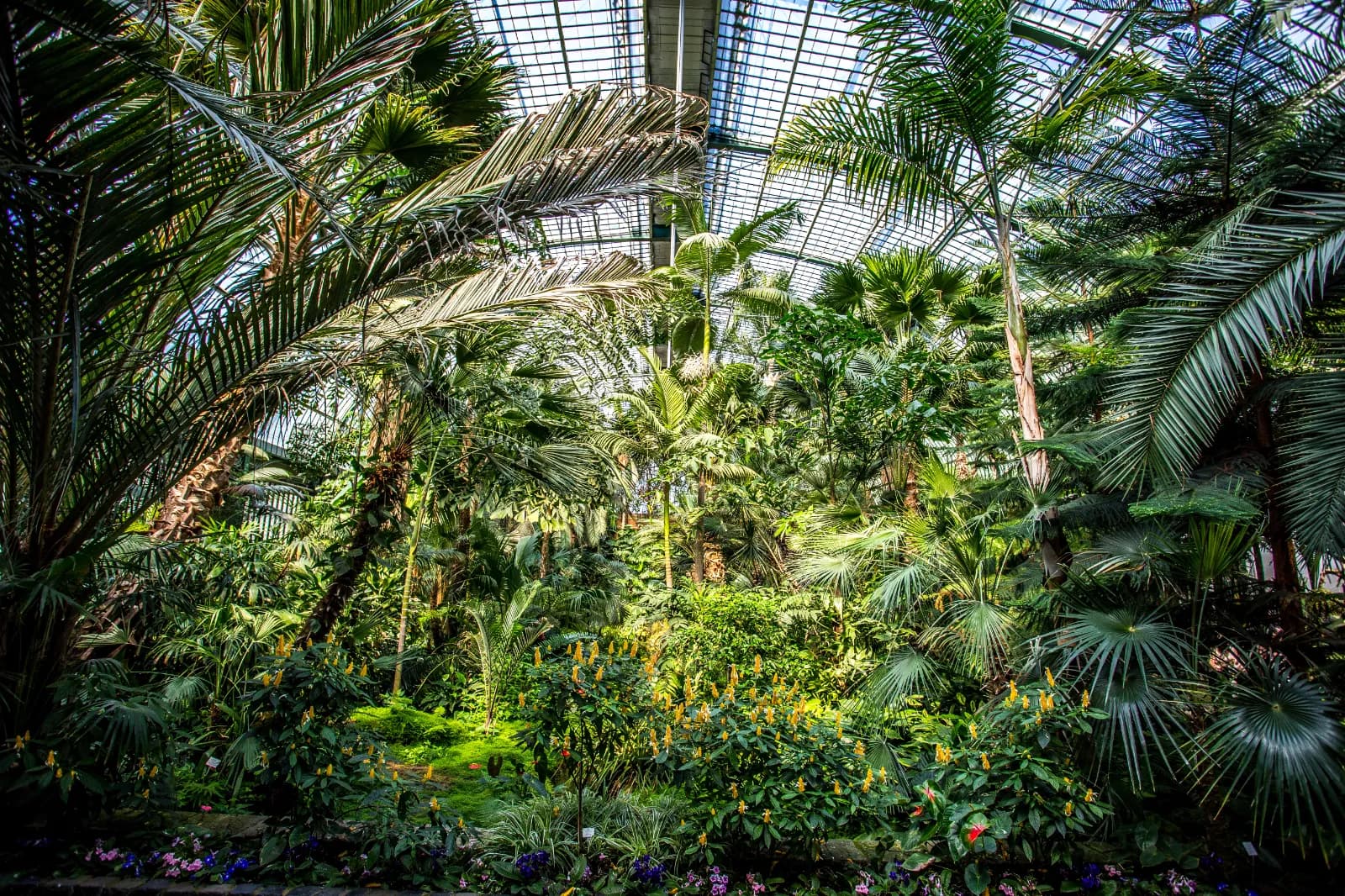 Palmengarten Frankfurt 4