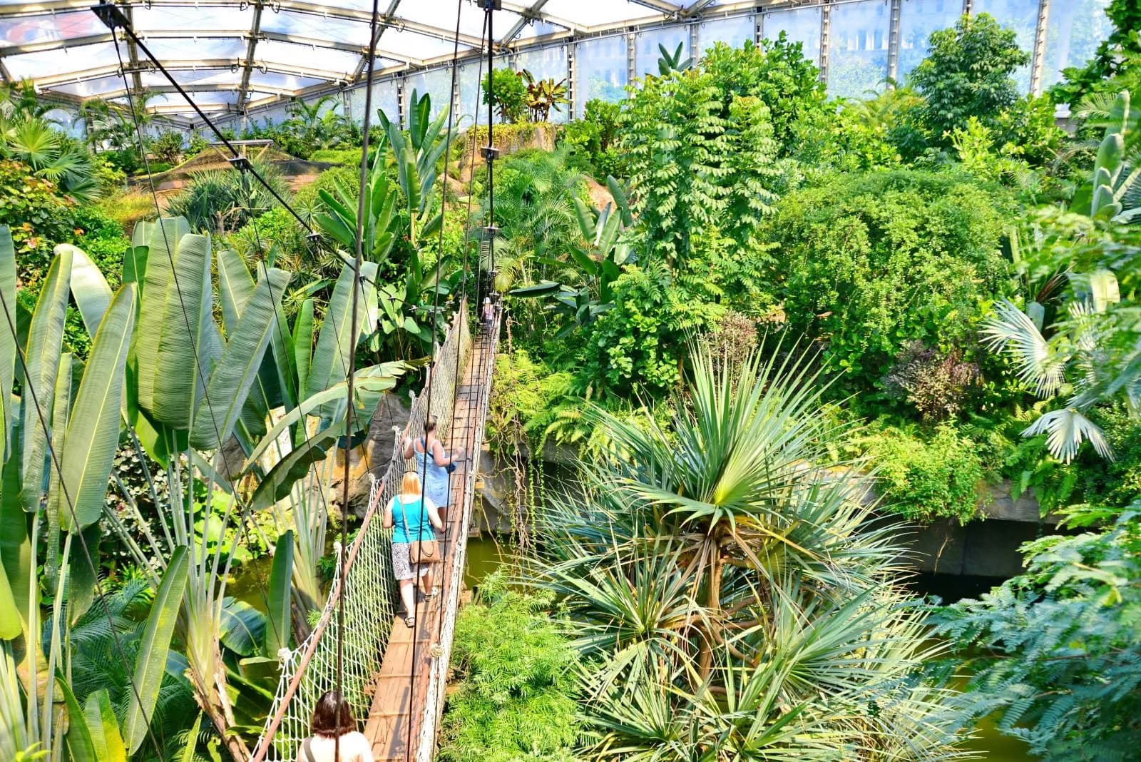 Zoo Leipzig 2