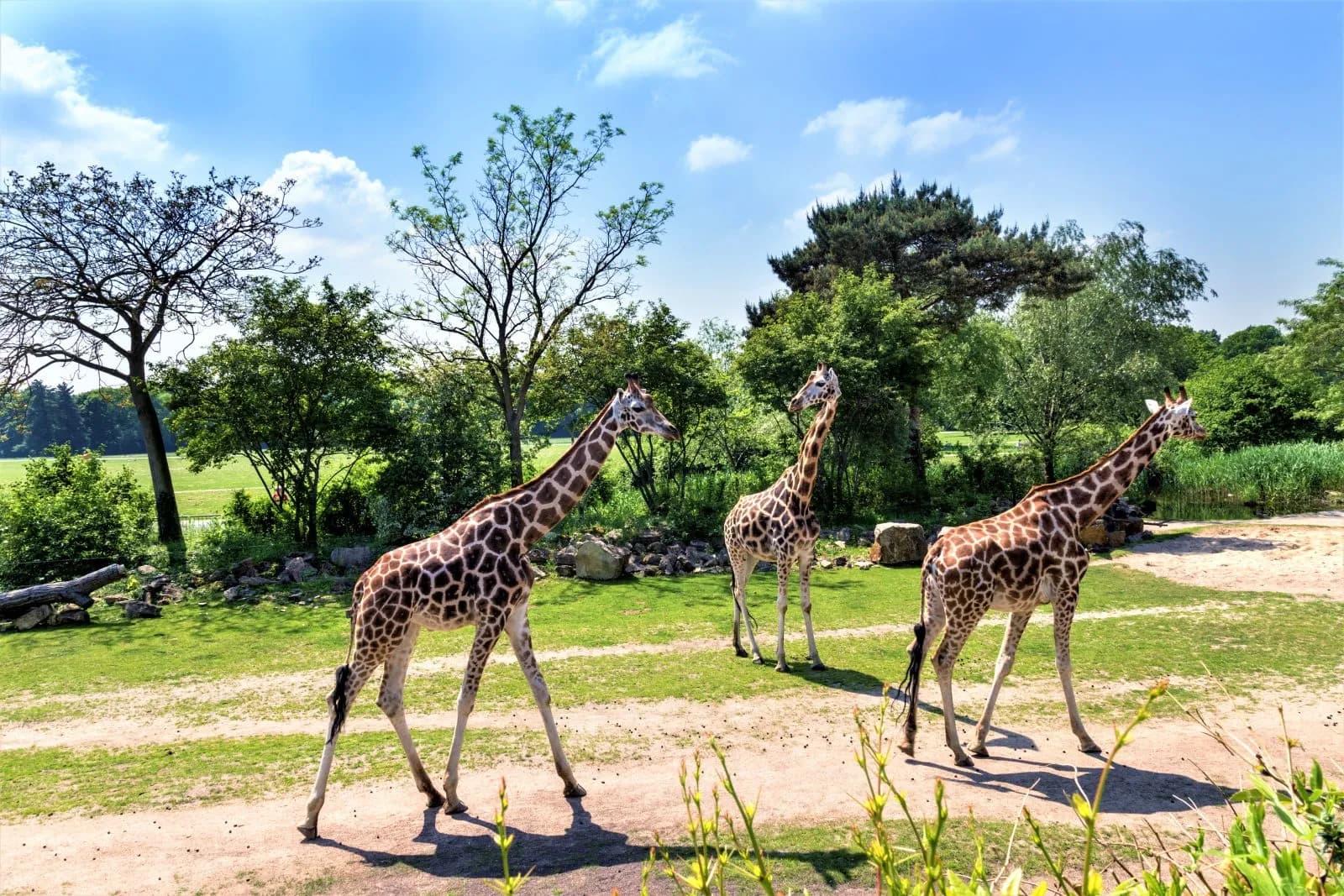 Zoo Leipzig 1