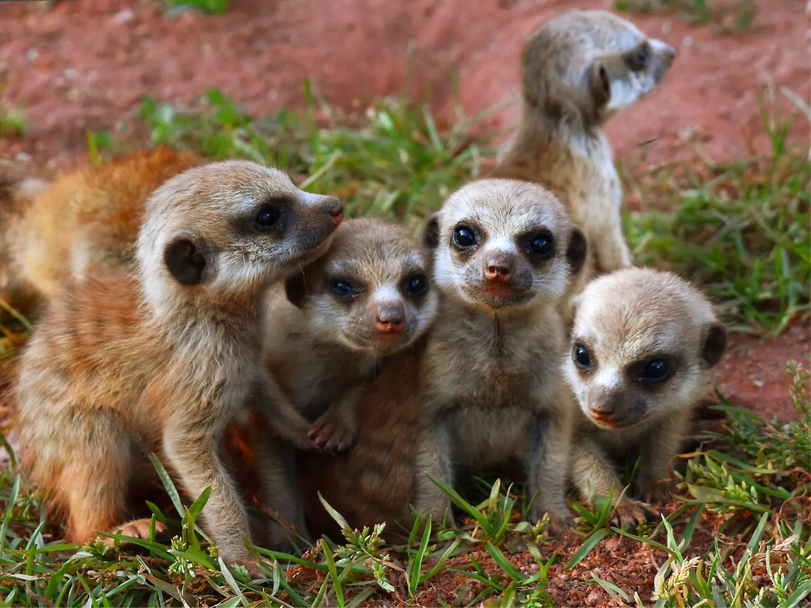 Thüringer Zoopark Erfurt 4