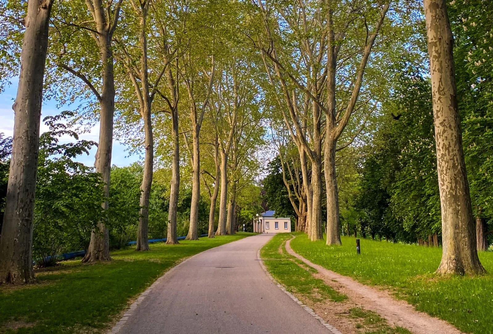 Unterer Schlossgarten 1