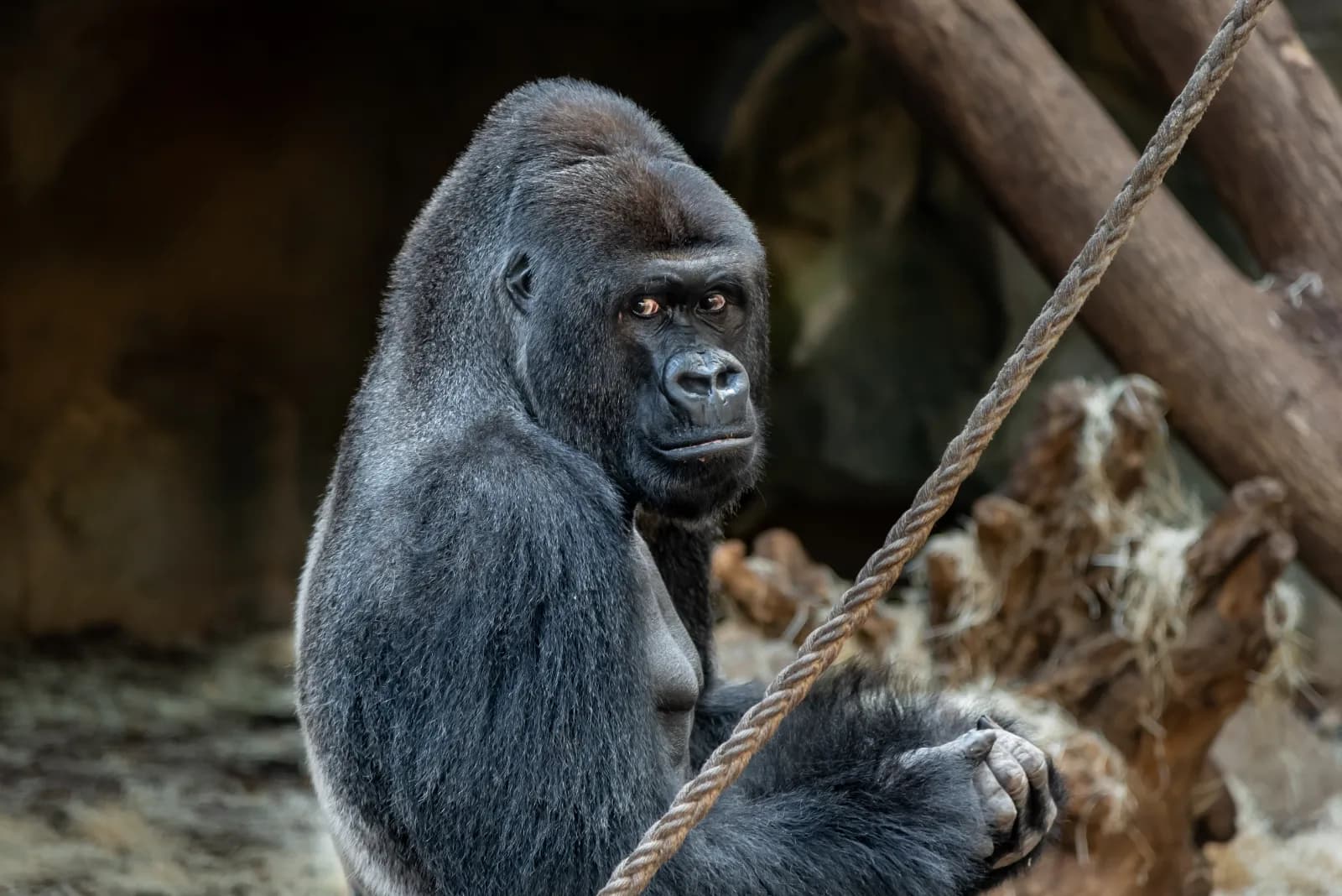 Zoo Frankfurt 4