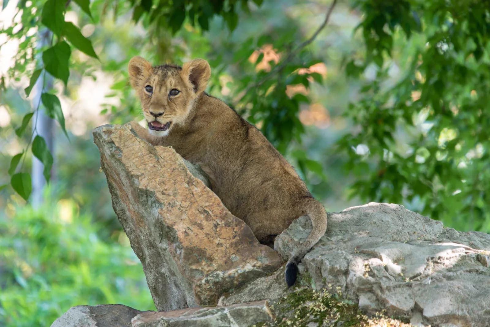 Zoo Frankfurt 3