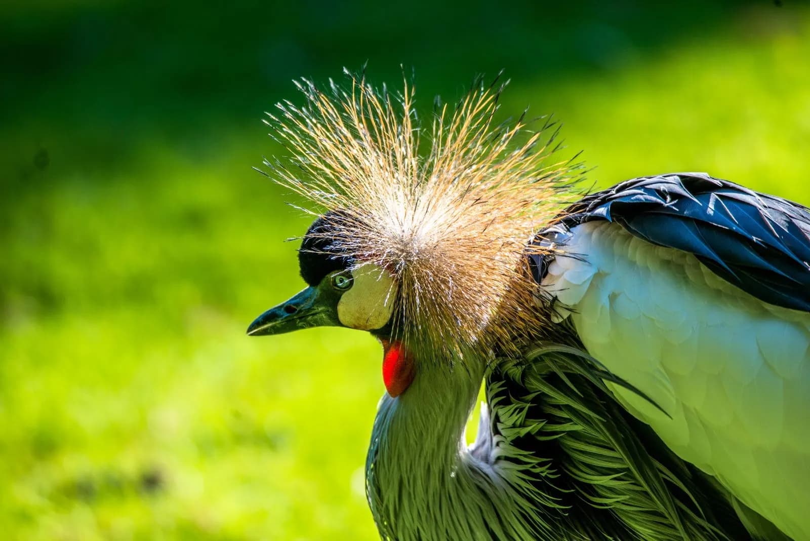 NaturZoo Rheine 3