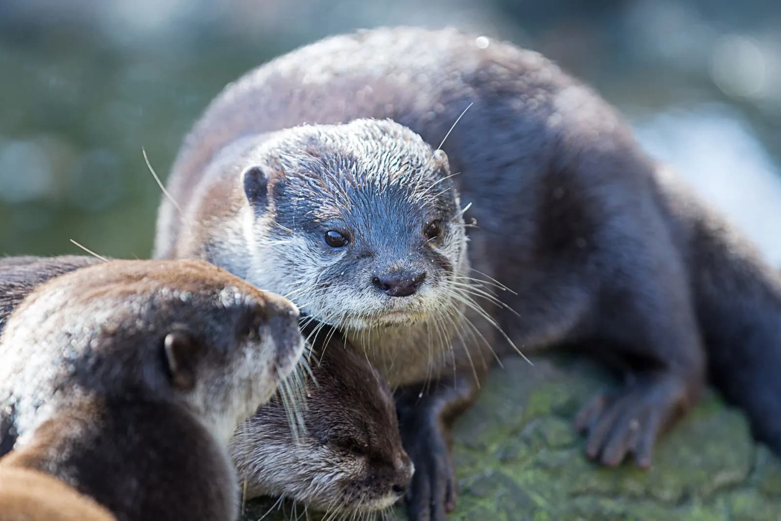 NaturZoo Rheine
