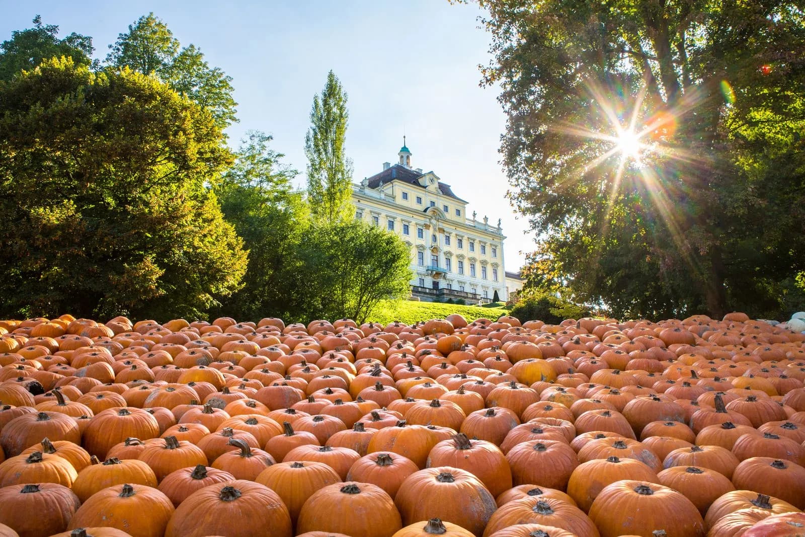 Kürbisausstellung Ludwigsburg 1
