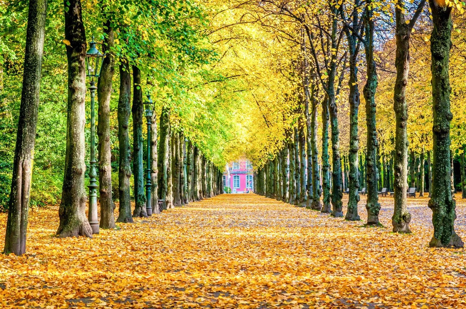 Hofgarten Düsseldorf 1