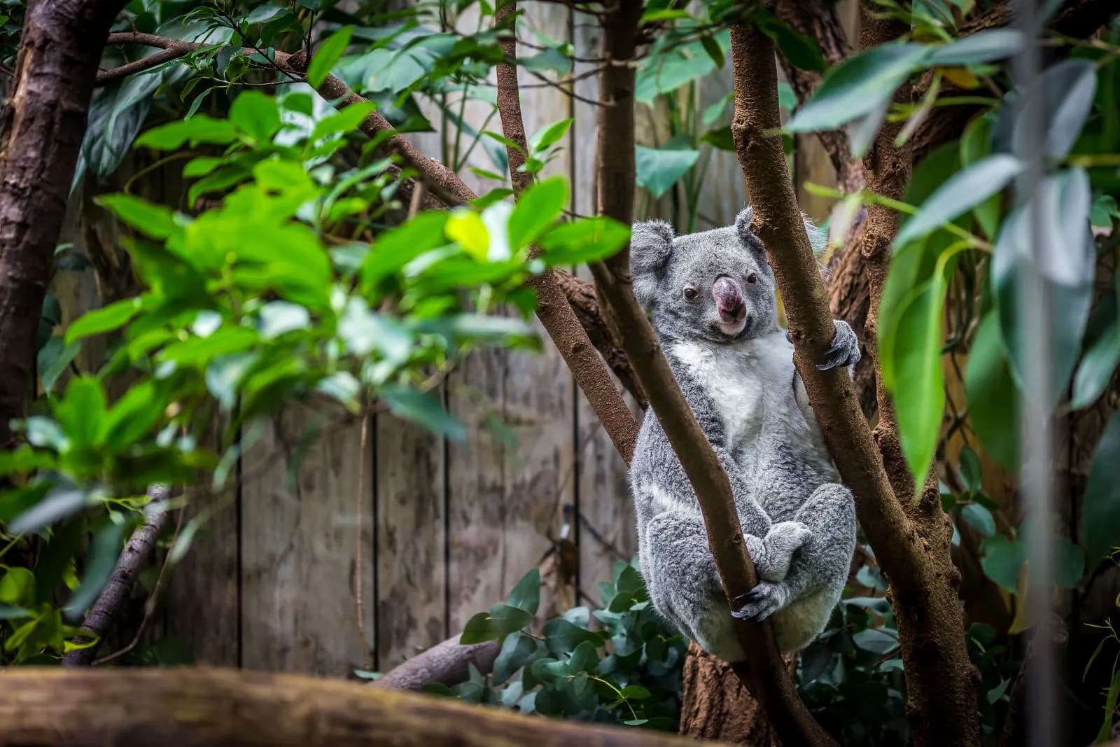 Zoo Duisburg 1