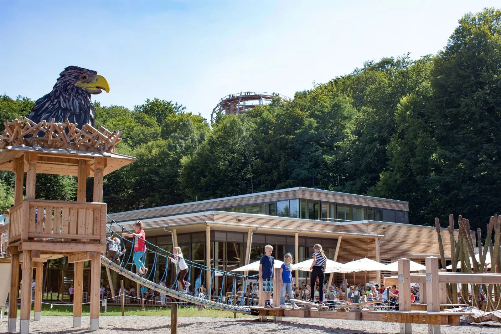 Baumwipfelpfad im Naturerbe Zentrum Rügen 1