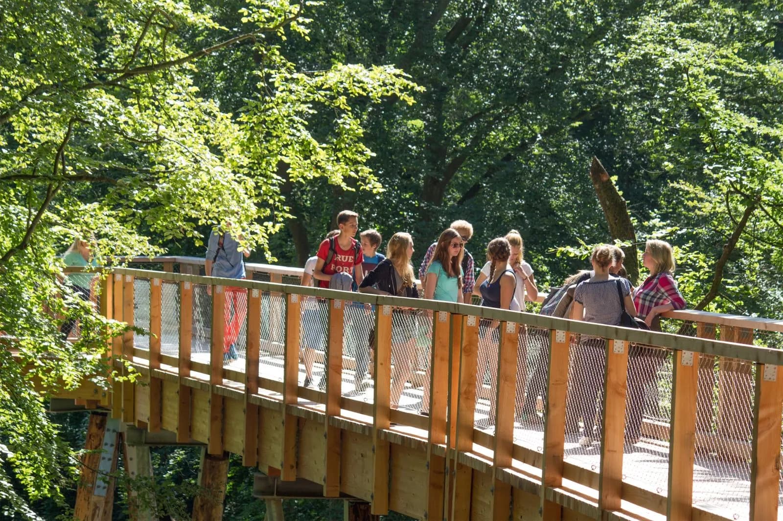 Baumwipfelpfad im Naturerbe Zentrum Rügen 7