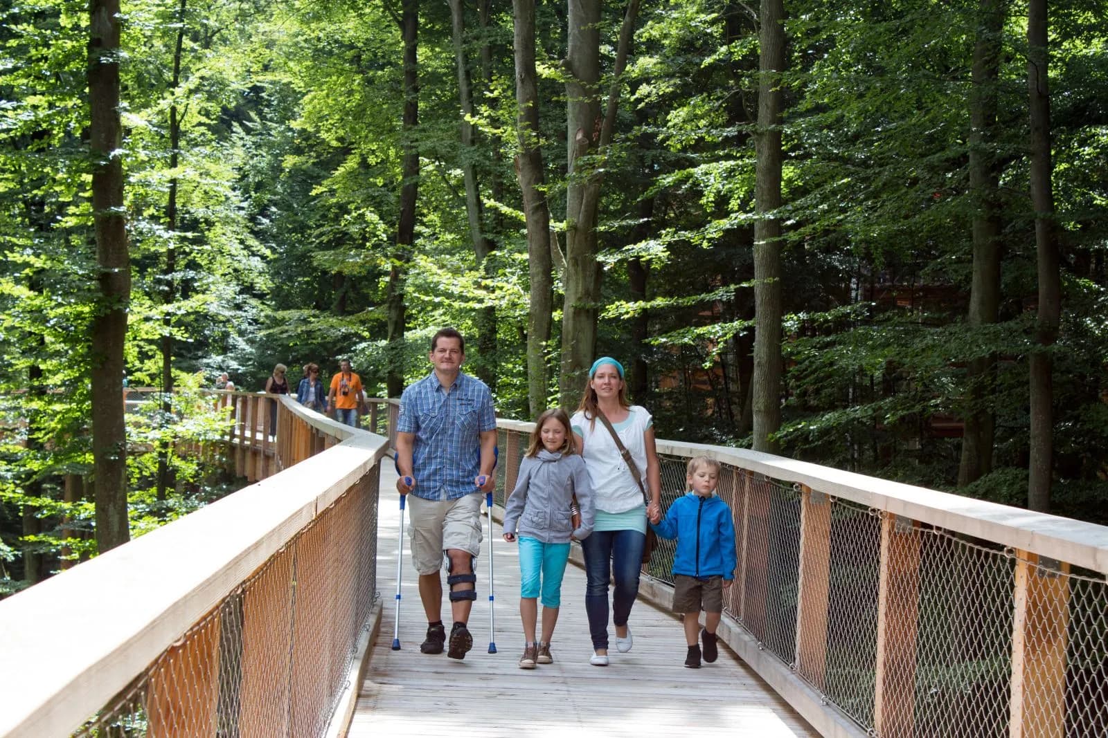 Baumwipfelpfad im Naturerbe Zentrum Rügen 6