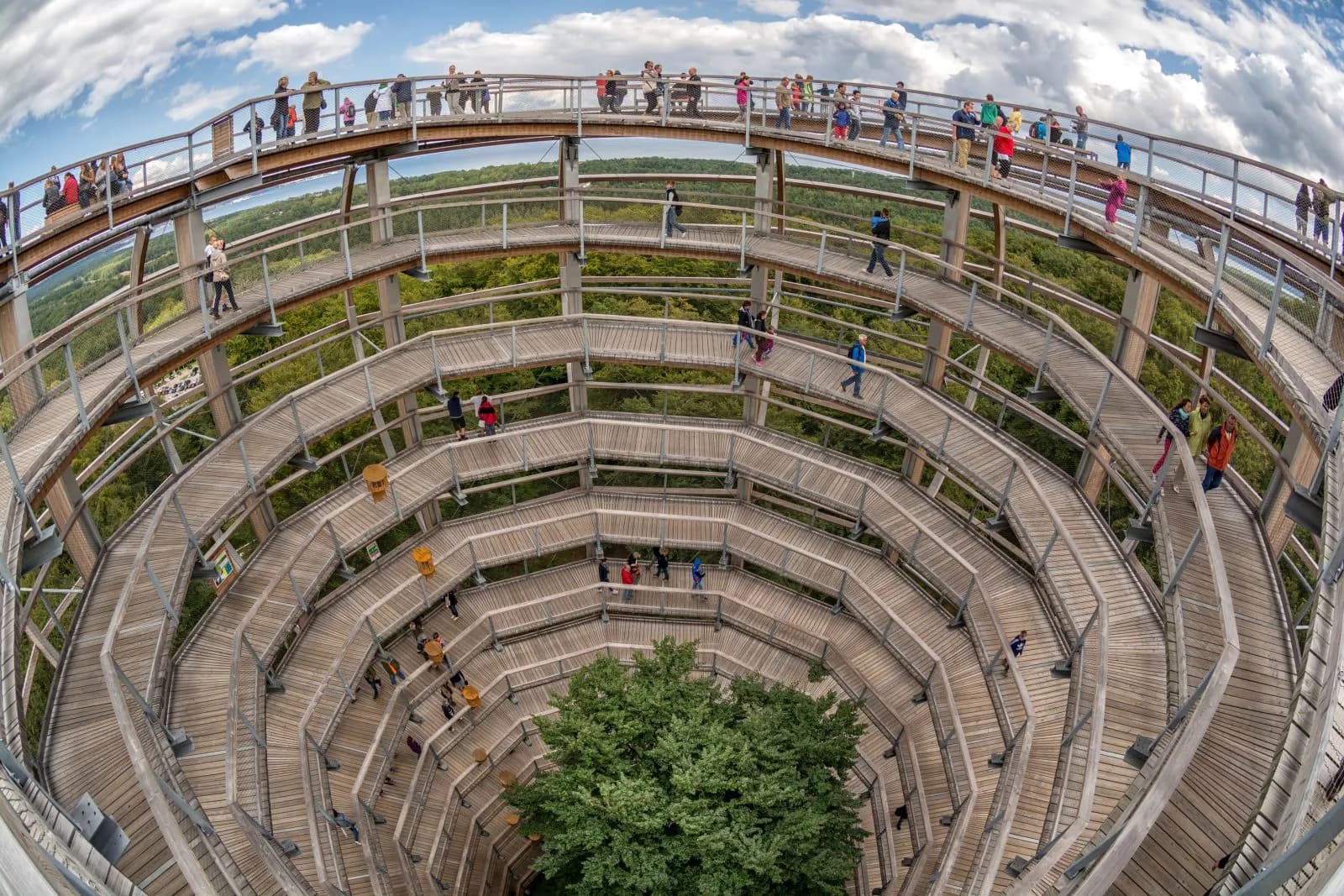 Baumwipfelpfad im Naturerbe Zentrum Rügen 5