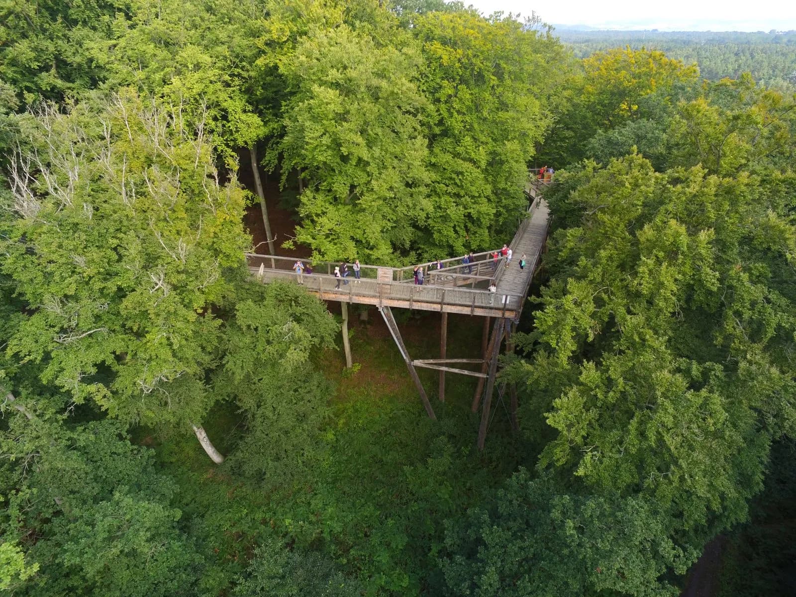 Baumwipfelpfad im Naturerbe Zentrum Rügen 8