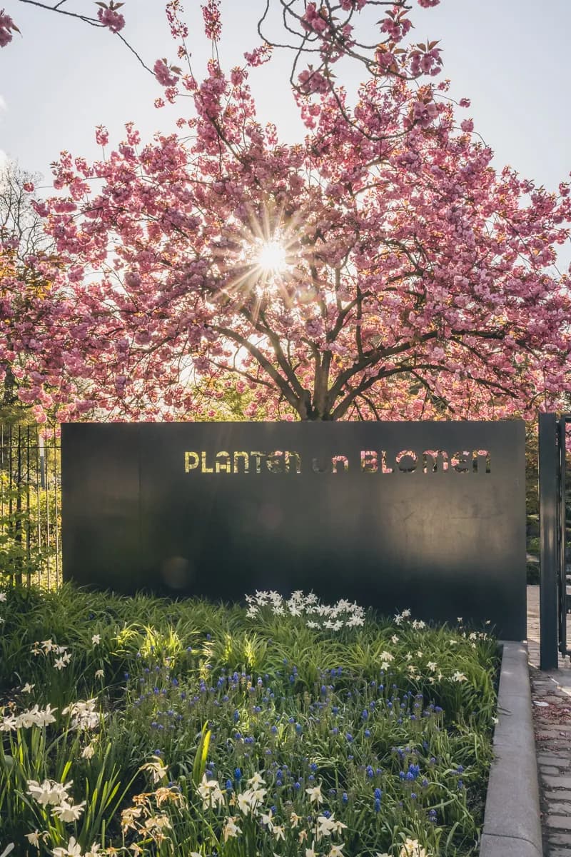 Planten un Blomen 3