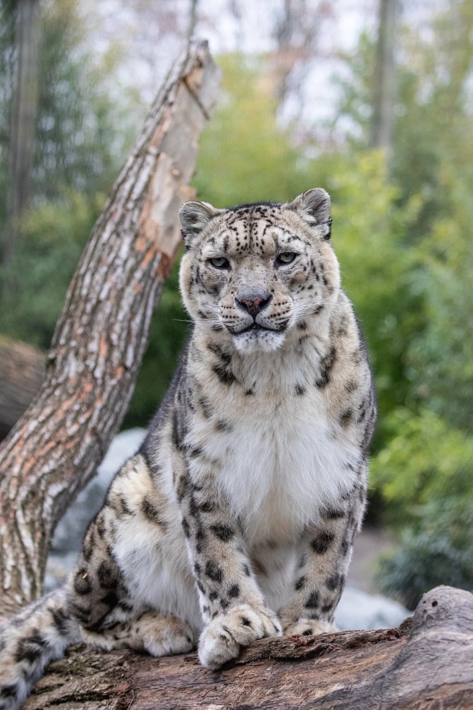 Tierpark Berlin 3
