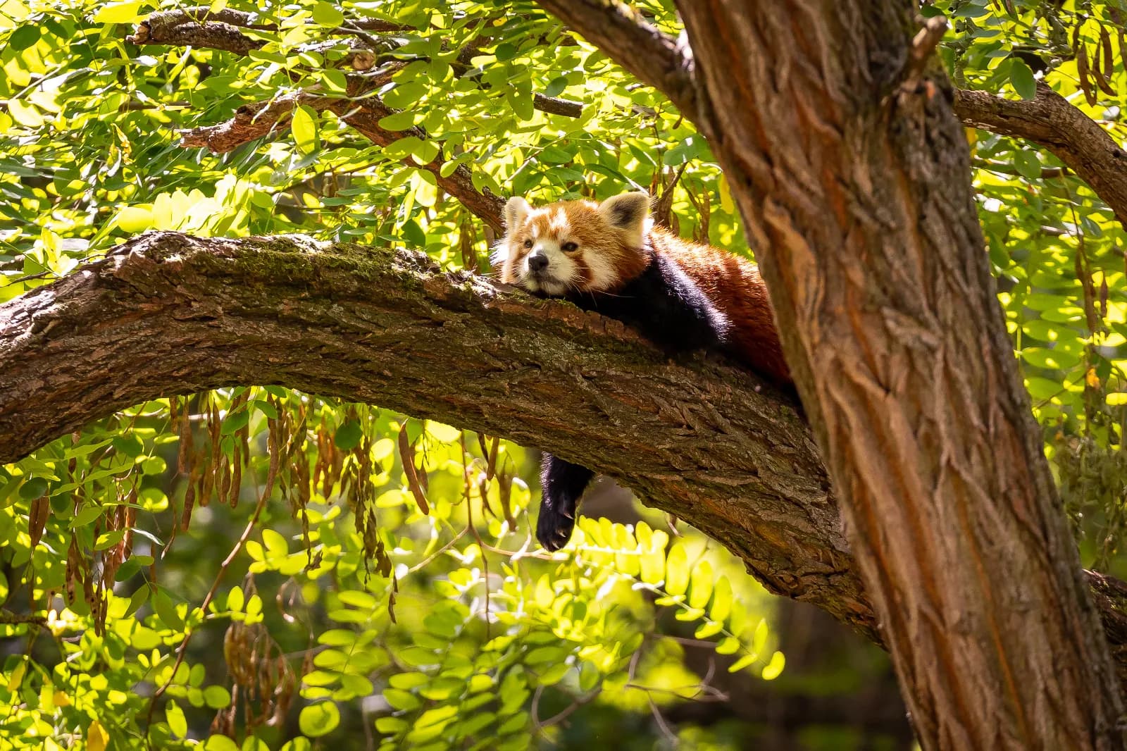 Tierpark Berlin 2