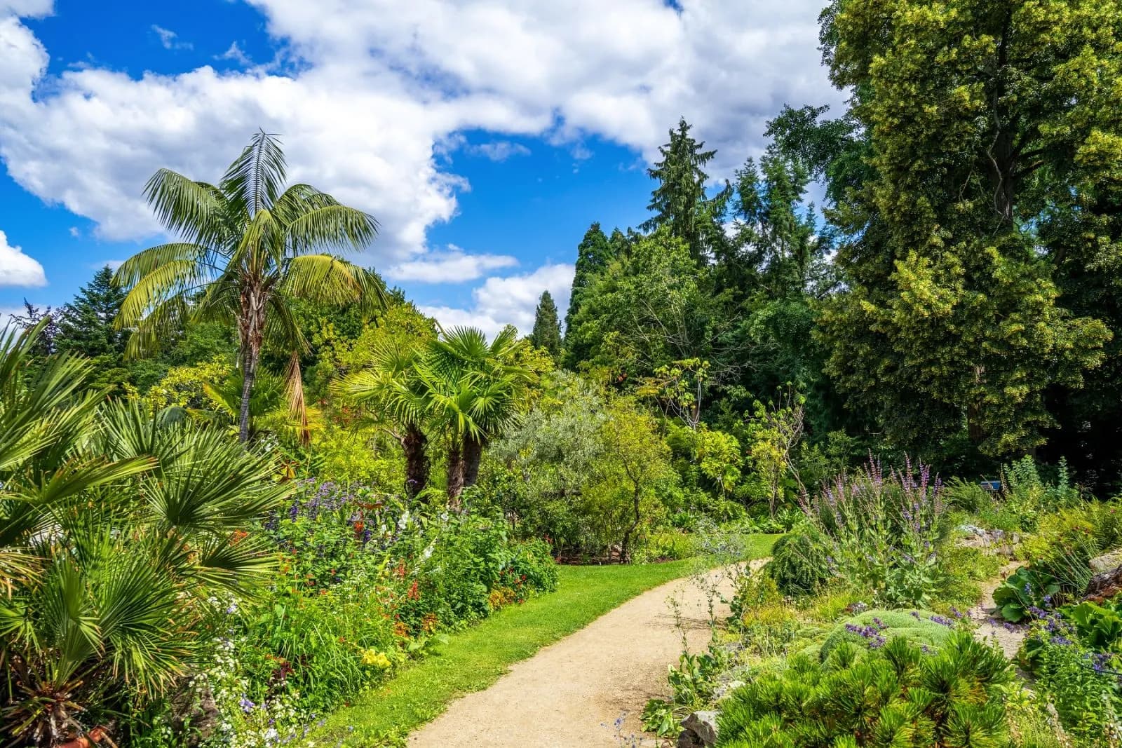 Botanischer Garten 2