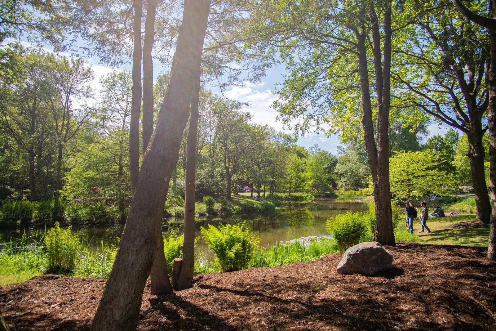 Rhododendron-Park 2
