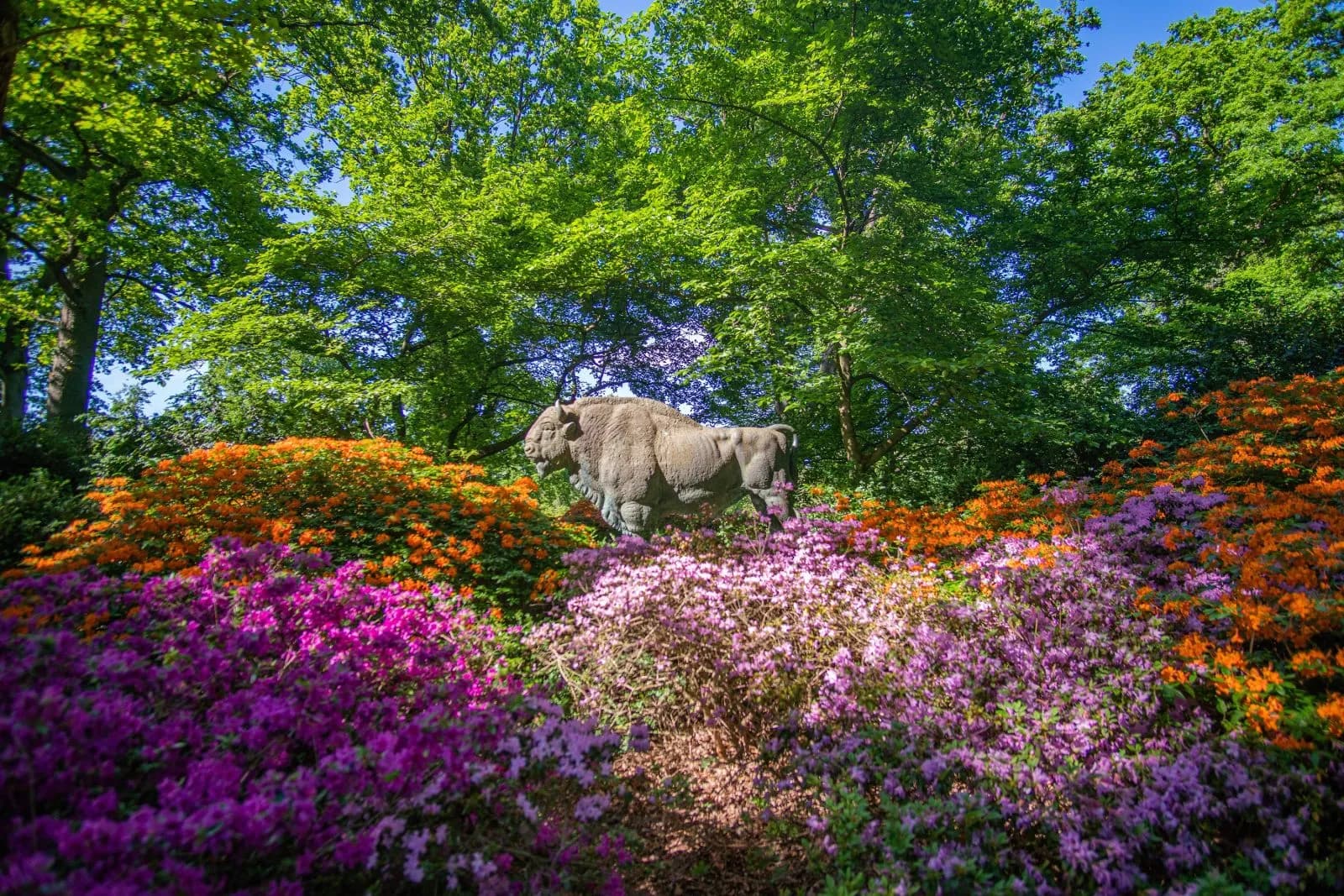 Rhododendron-Park 3