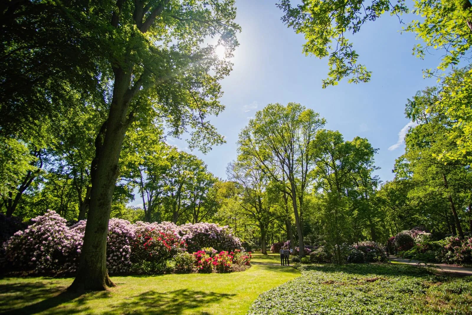 Rhododendron-Park