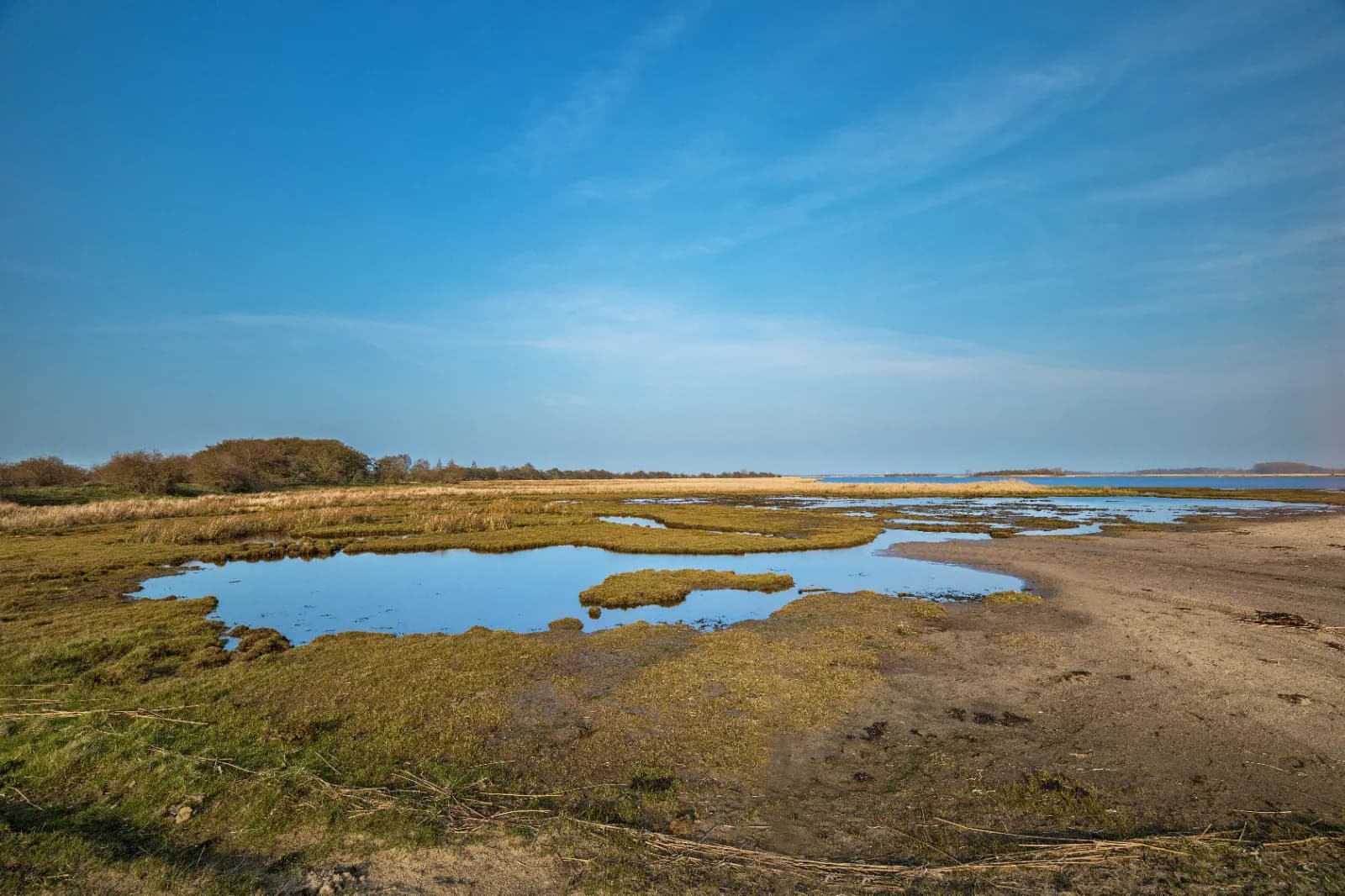 Nationalpark Vorpommersche Boddenlandschaft 4