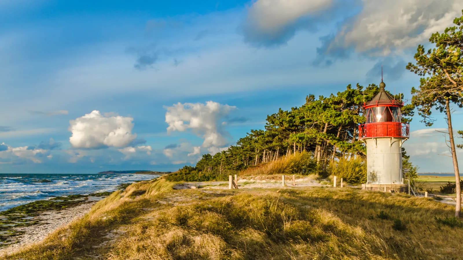 Nationalpark Vorpommersche Boddenlandschaft 3