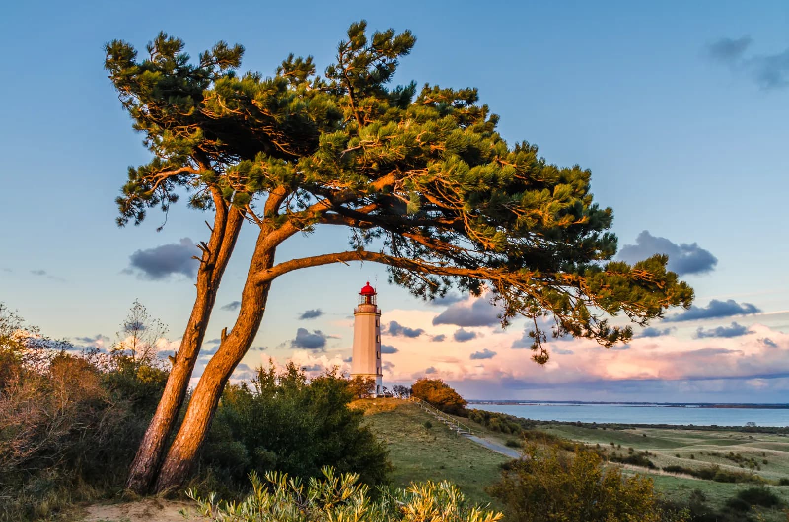 Nationalpark Vorpommersche Boddenlandschaft 1