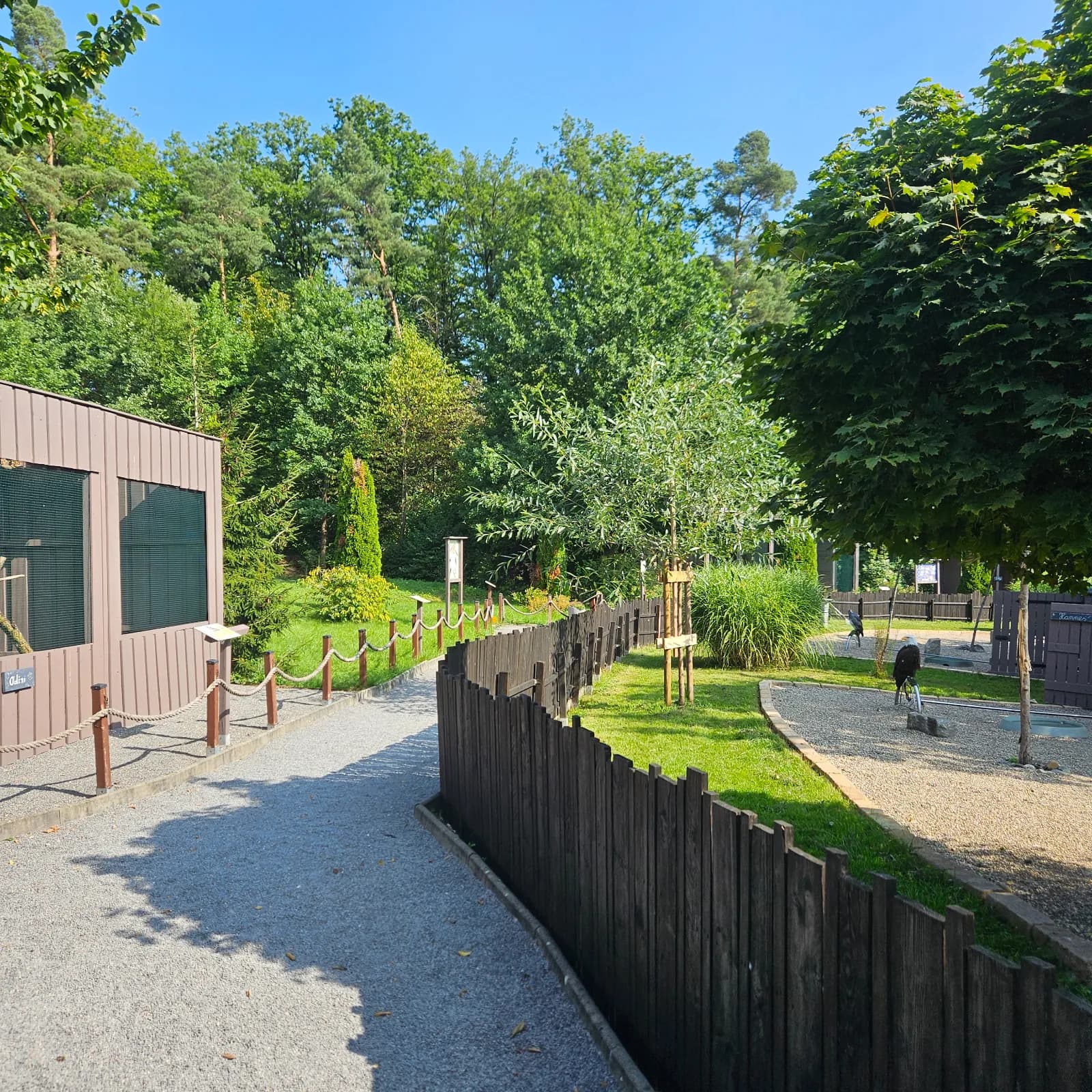 Greifvogelanlage Wüstenrot 2