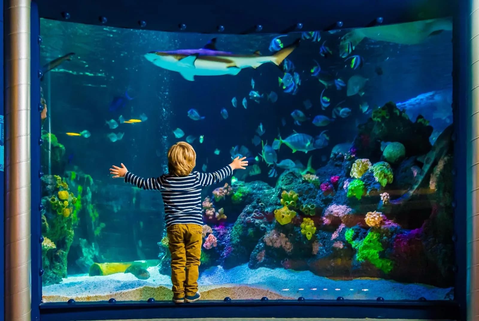 SEA LIFE Konstanz 3