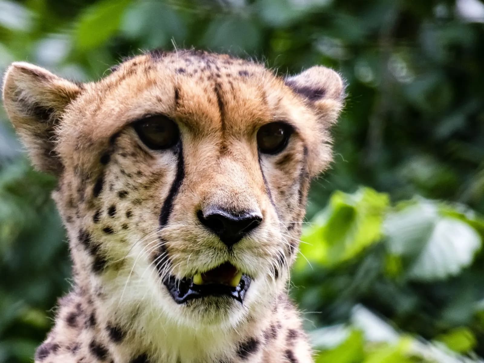 Zoo Saarbrücken 3