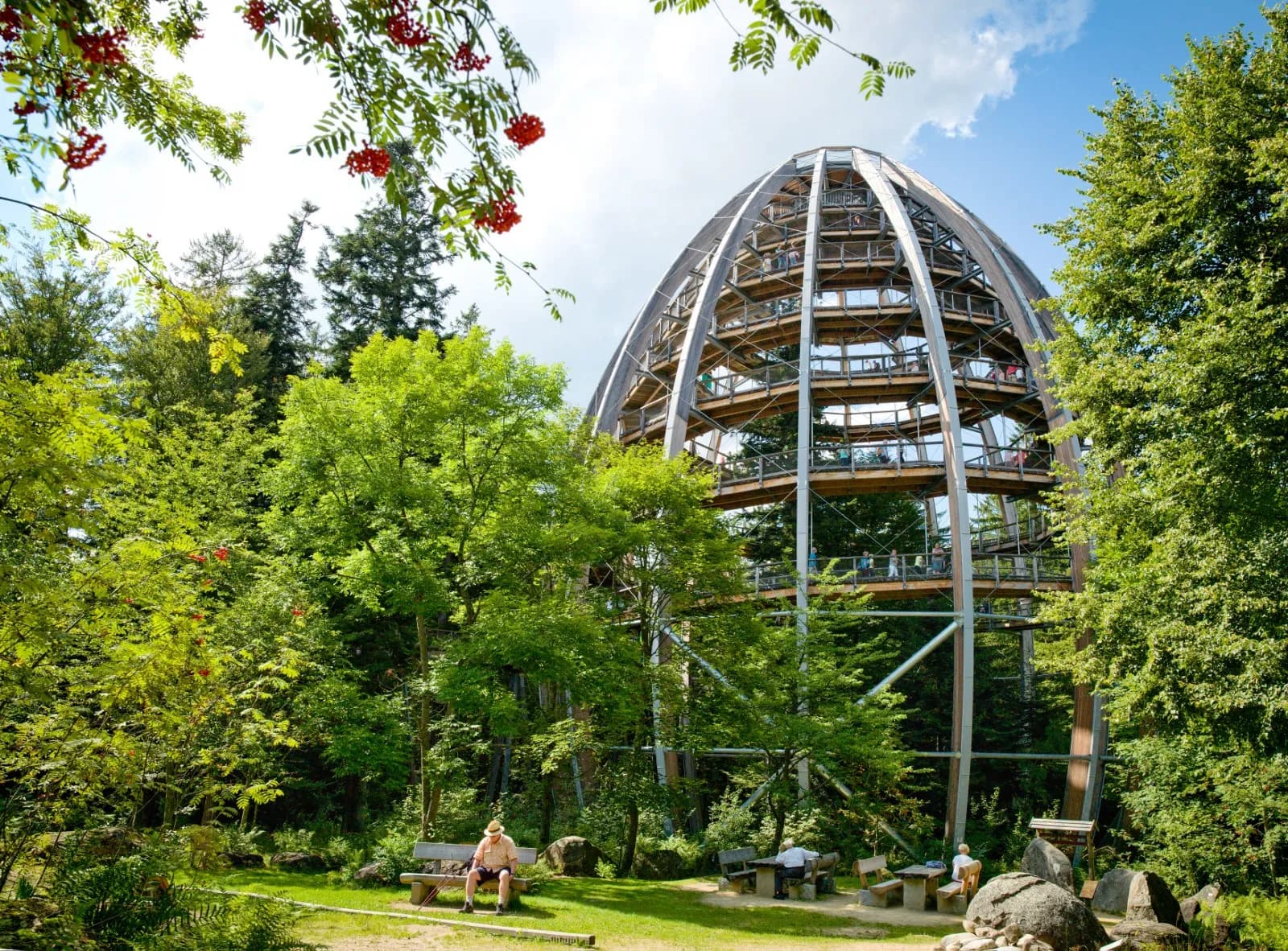 Baumwipfelpfad Bayerischer Wald 4