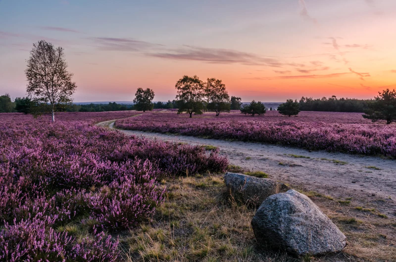 Naturpark Lüneburger Heide