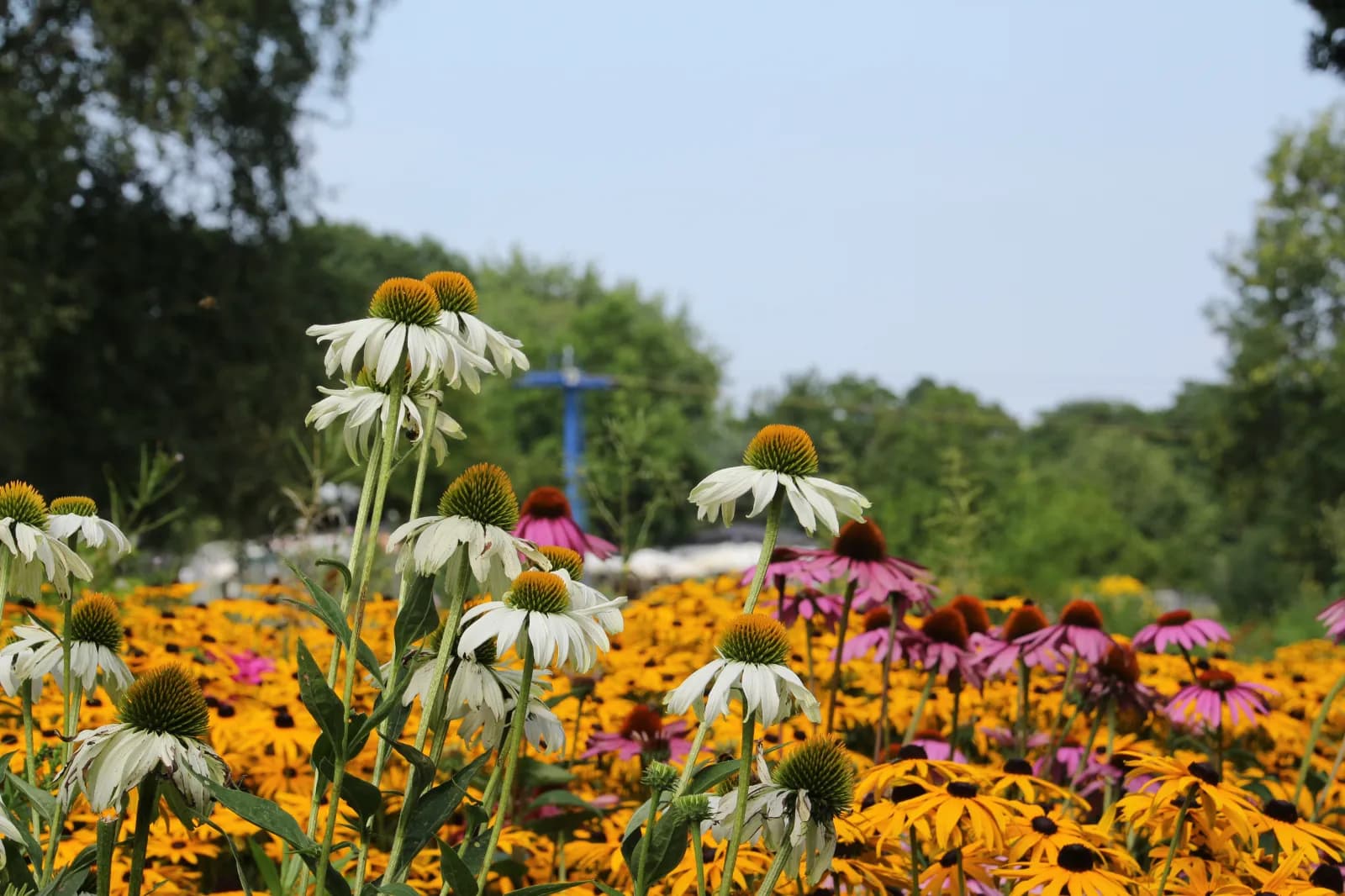 Westfalenpark Dortmund 4