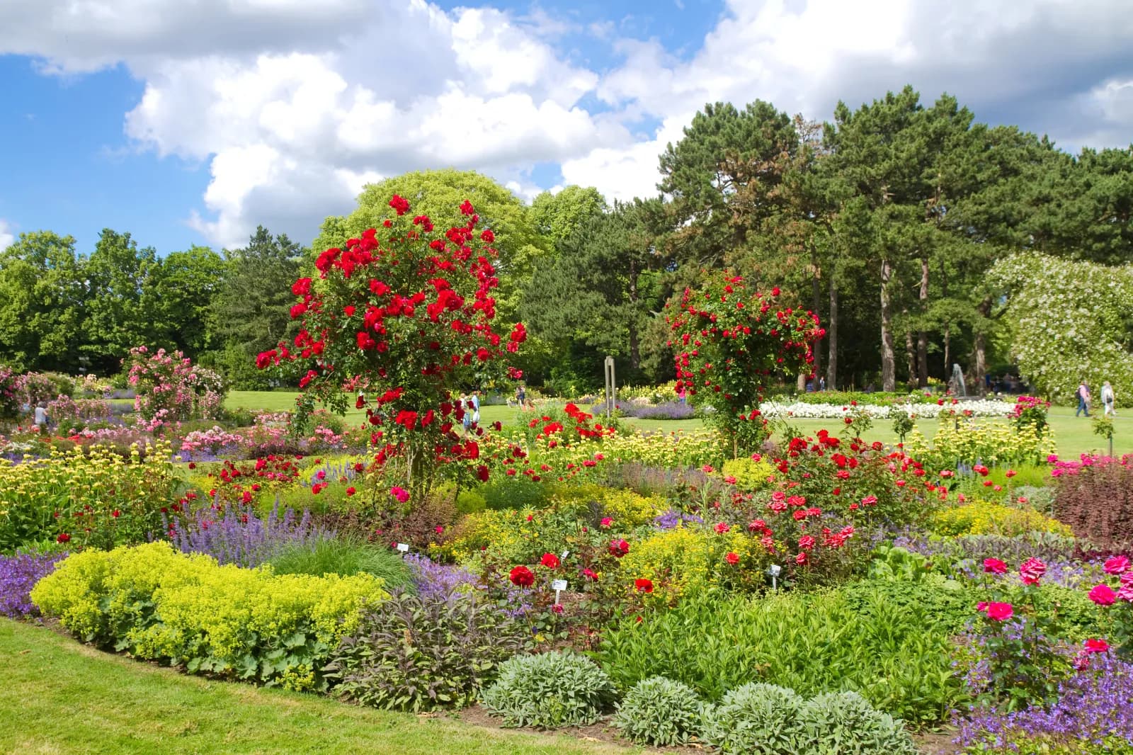 Westfalenpark Dortmund 2